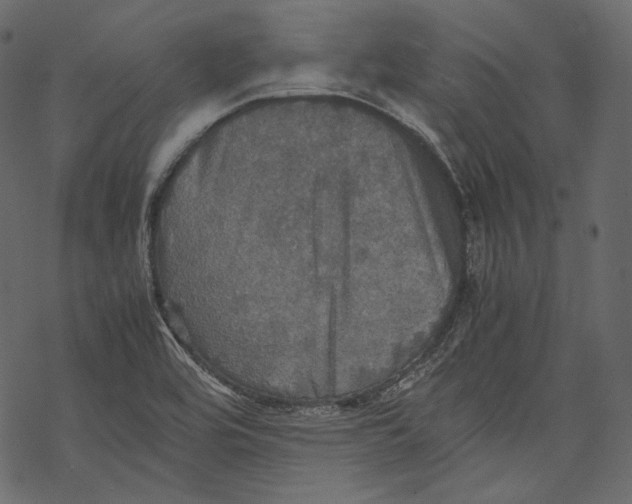 X0000067891464200605041540