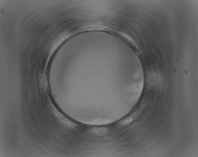 X0000067891466200605041540