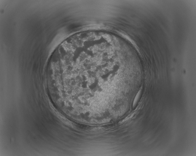 X0000067891467200605041540