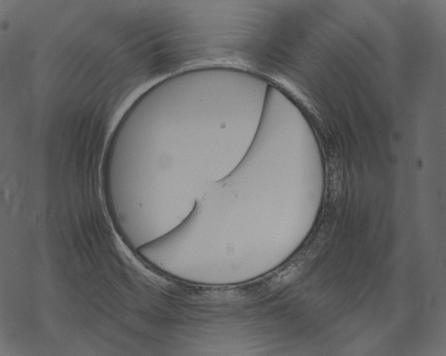 X0000067891468200605041540