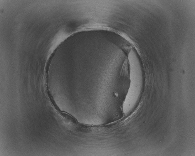 X0000067891469200605041540