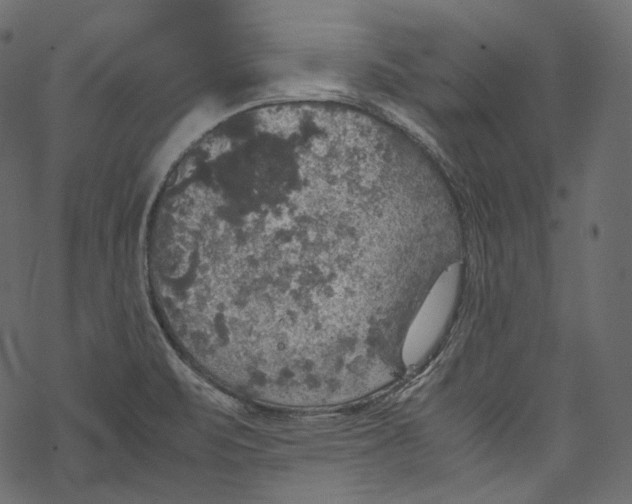 X0000067891471200605041540