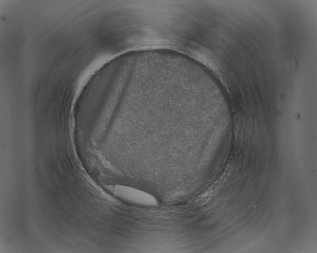 X0000067891472200605041540