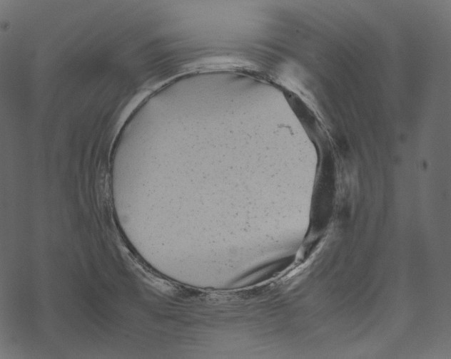 X0000067891473200605041540