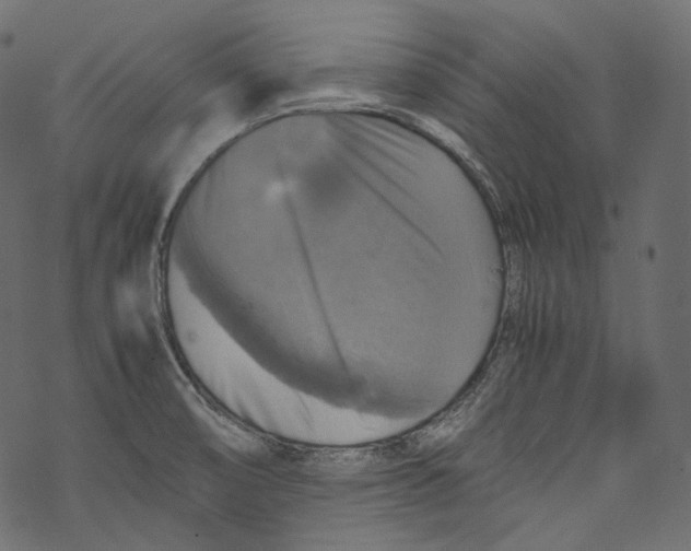 X0000067891474200605041540