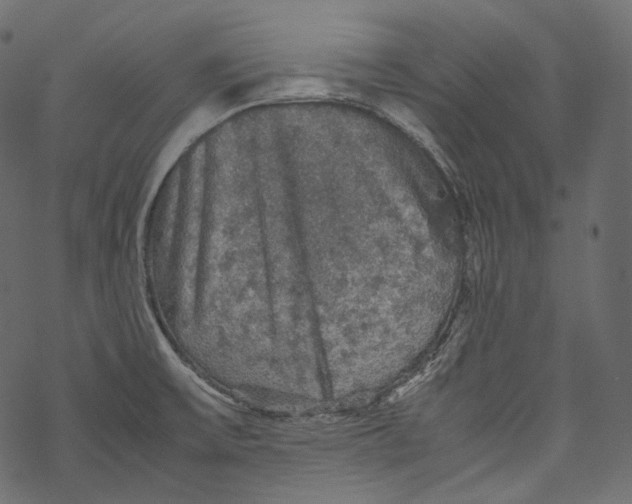 X0000067891475200605041540