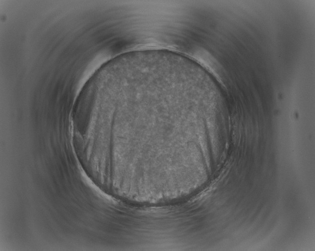 X0000067891476200605041540