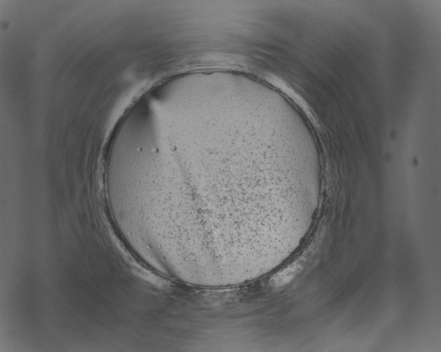 X0000067891477200605041540