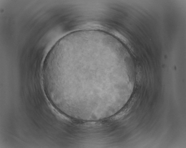 X0000067891478200605041540