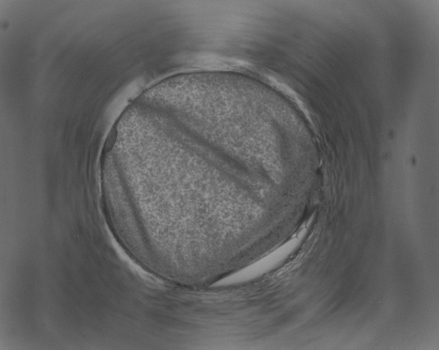 X0000067891479200605041540