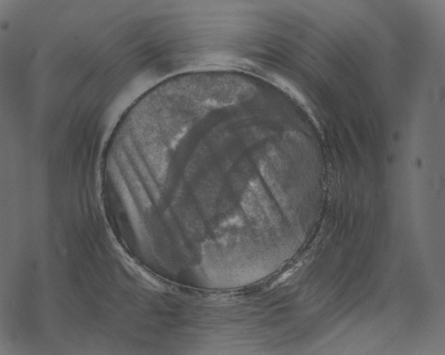 X0000067891480200605041540