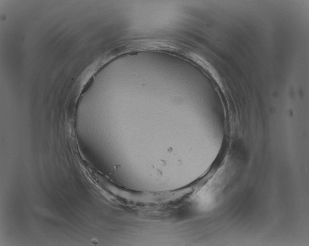 X0000067891481200605041540