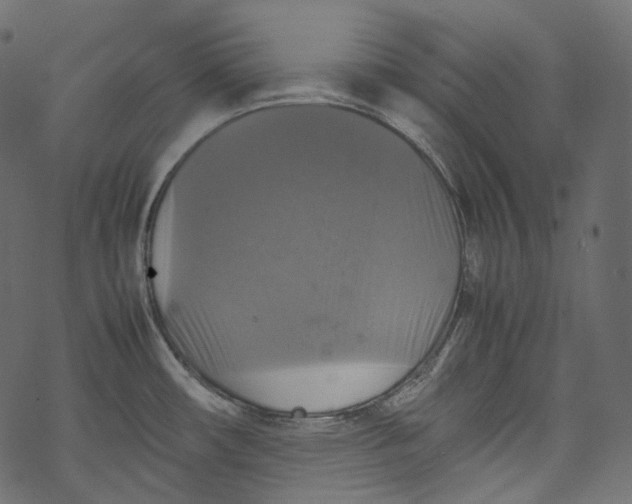 X0000067891482200605041540