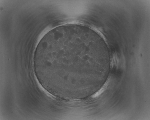 X0000067891483200605041540