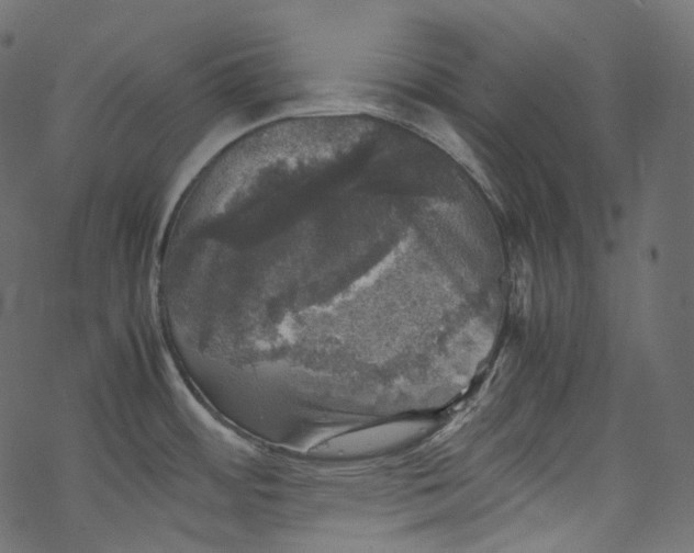 X0000067891484200605041540