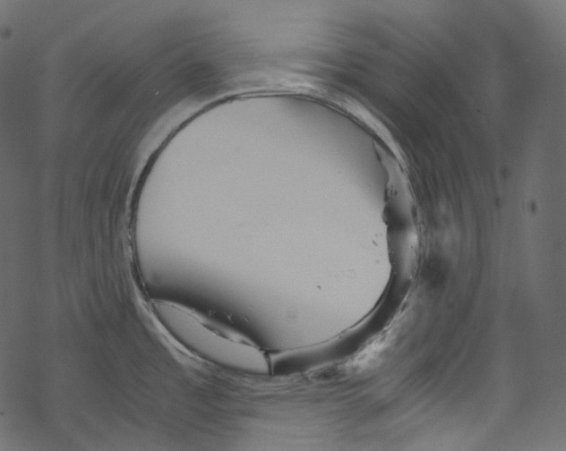 X0000067891485200605041540