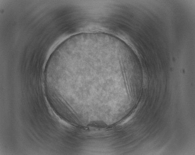 X0000067891486200605041540