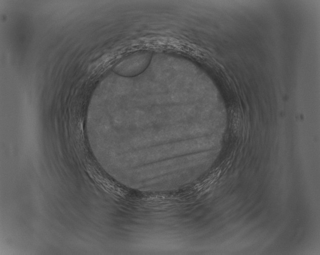 X0000067891489200605041539