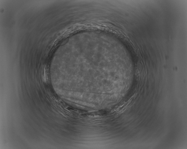 X0000067891490200605041539