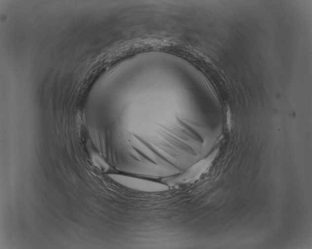 X0000067891492200605041539