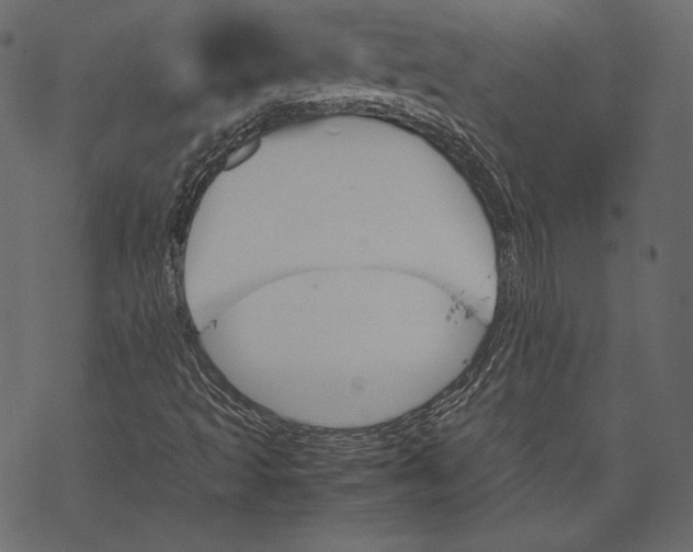 X0000067891493200605041539