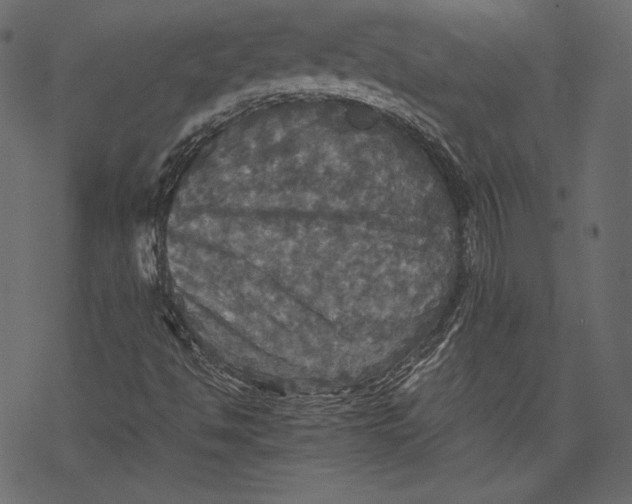 X0000067891494200605041539