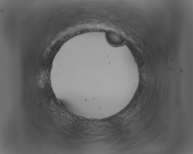 X0000067891495200605041539