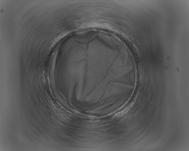 X0000067891497200605041539