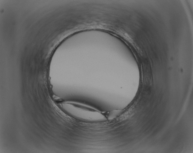 X0000067891500200605041539