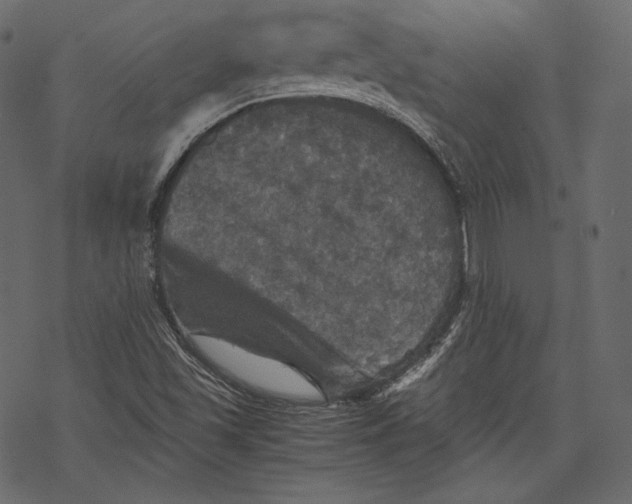 X0000067891501200605041539