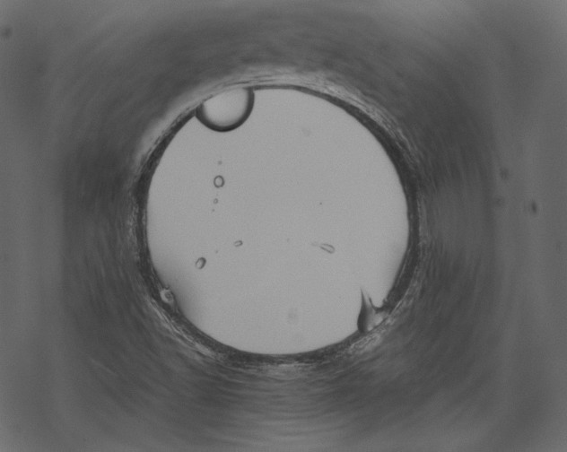 X0000067891502200605041539