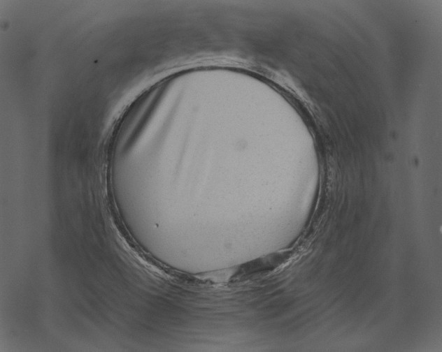 X0000067891504200605041539