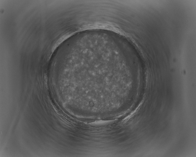 X0000067891505200605041539