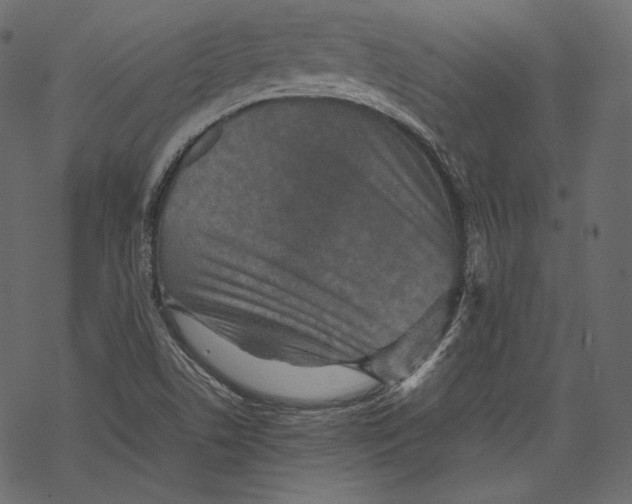 X0000067891506200605041539