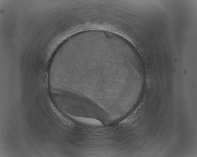 X0000067891507200605041539