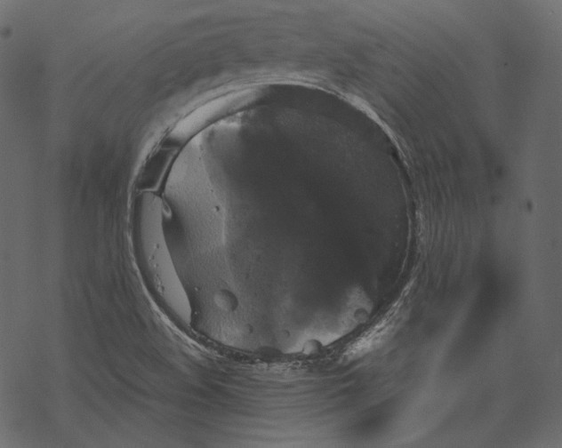 X0000067891508200605041539