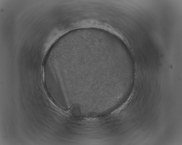 X0000067891509200605041539