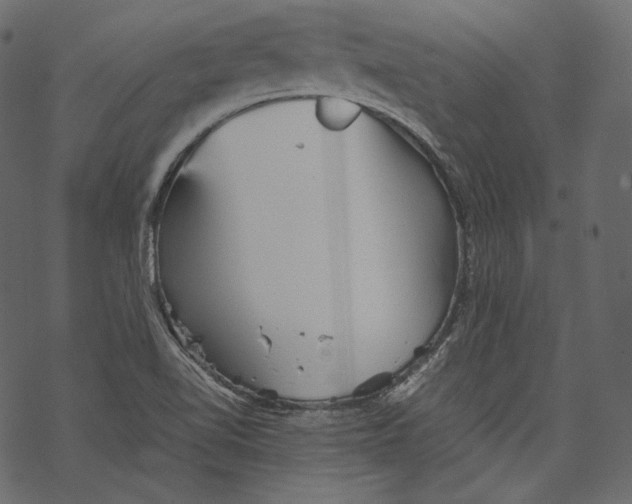 X0000067891510200605041539