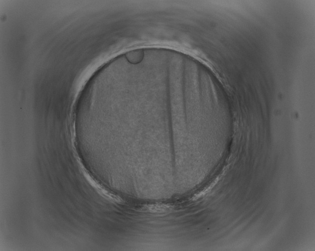 X0000067891511200605041539