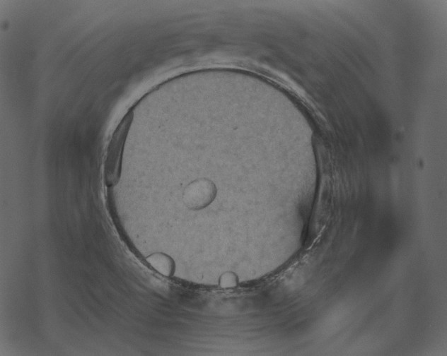 X0000067891512200605041539