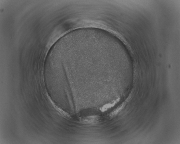 X0000067891513200605041539