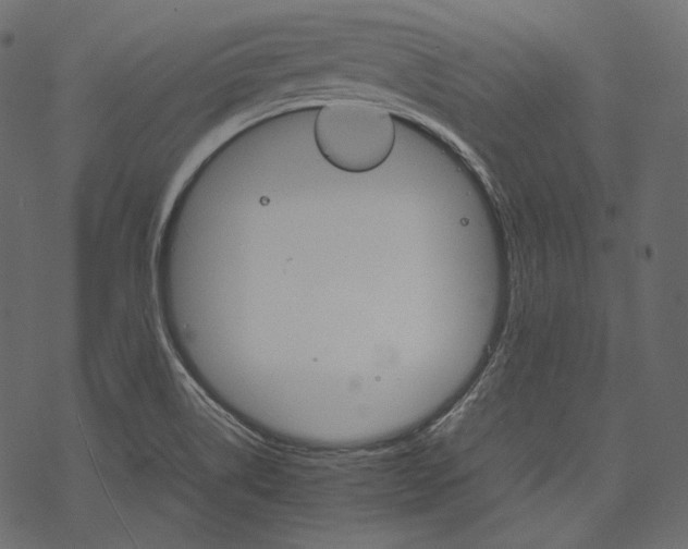 X0000067891514200605041539