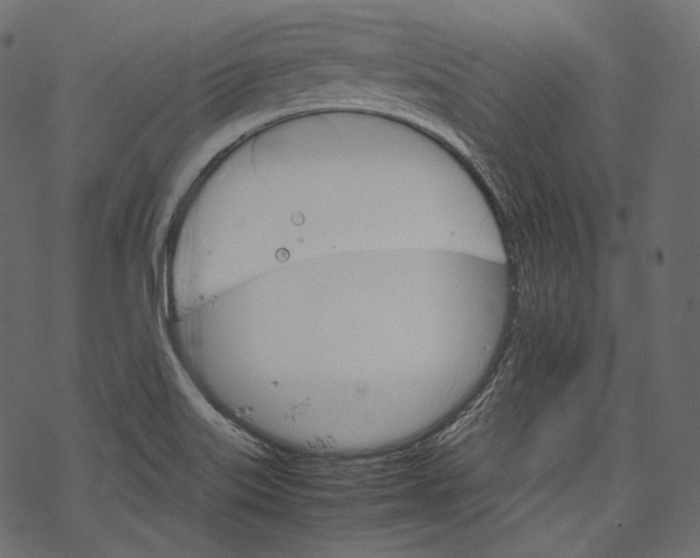 X0000067891515200605041539