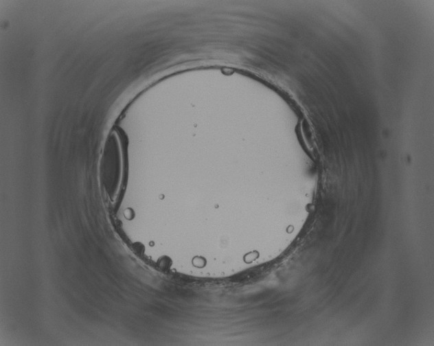 X0000067891516200605041539