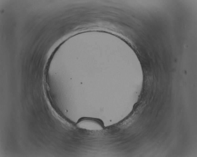 X0000067891518200605041539