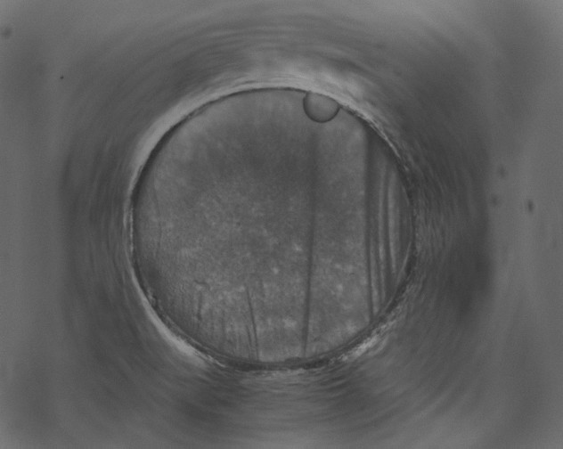 X0000067891519200605041539