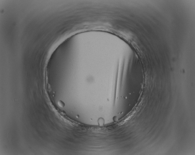 X0000067891520200605041539