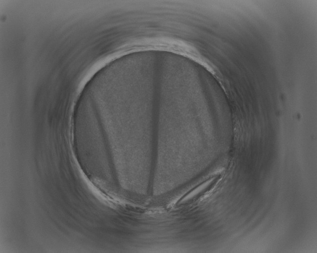 X0000067891523200605041539