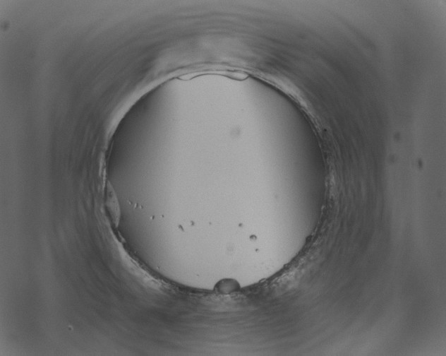 X0000067891524200605041539