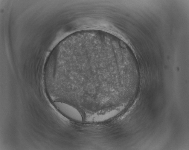 X0000067891525200605041539